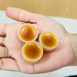 KUMKUMADI LIP BALM